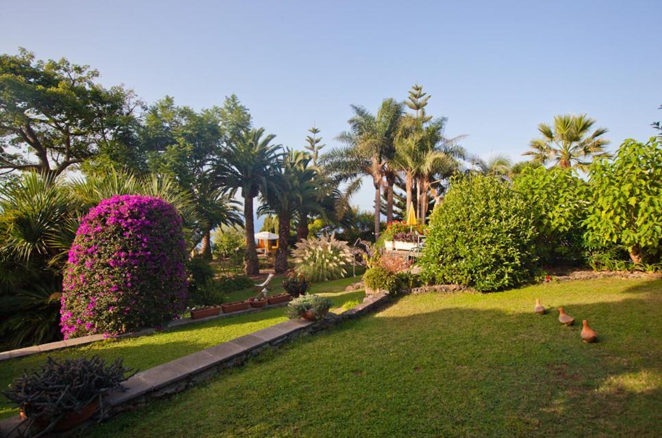 Finca Casa Vieja Santa Úrsula Exterior foto